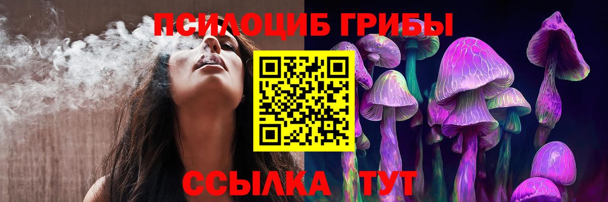 Галлюциногенные грибы Psilocybe Белово